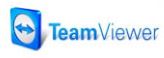 TeamViewerQS.exe